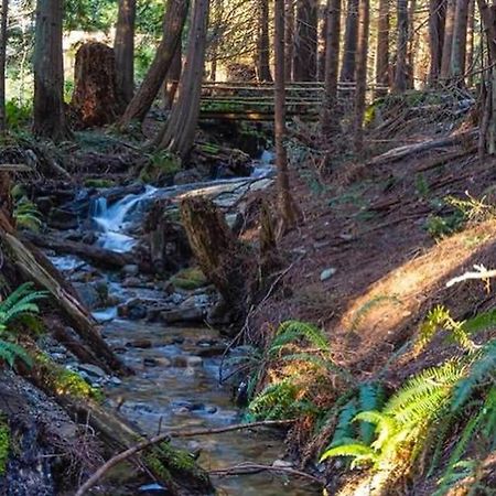 Forest Haven Hideaway Roberts Creek Zewnętrze zdjęcie