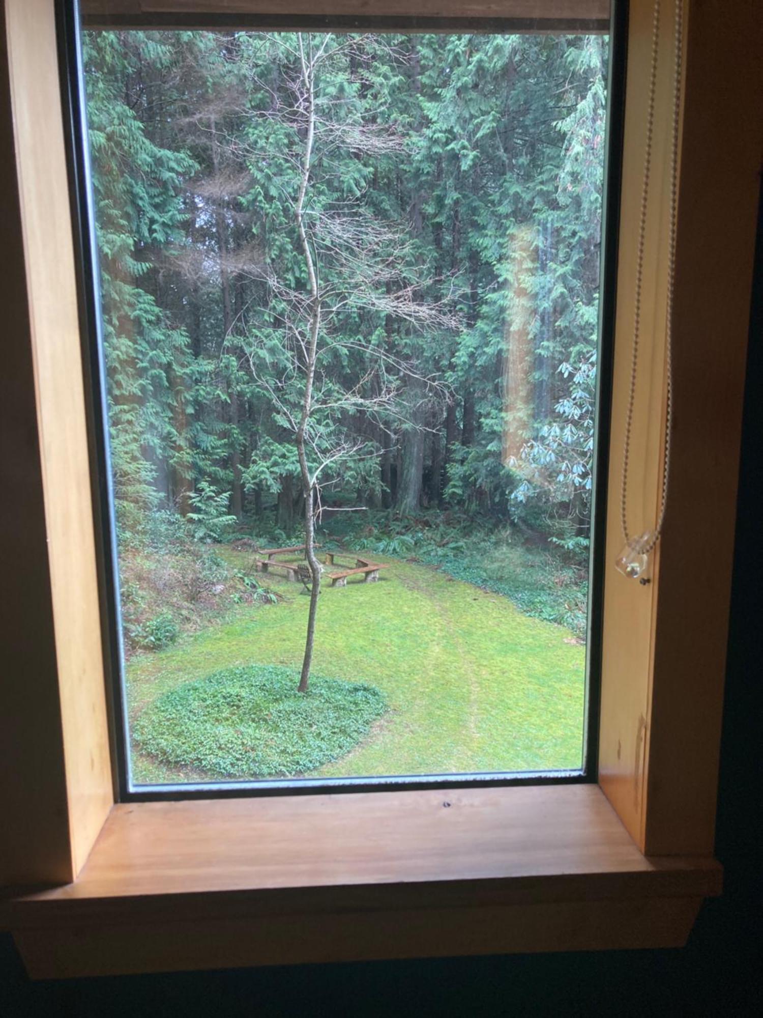 Forest Haven Hideaway Roberts Creek Zewnętrze zdjęcie